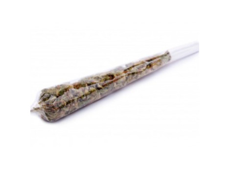 Amnesia joint Amnesia joint