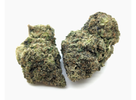 Dank Bubba Dank Bubba